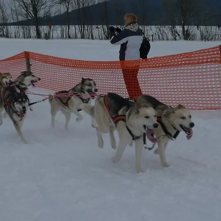 Daire Im Harz-haus-bruns *