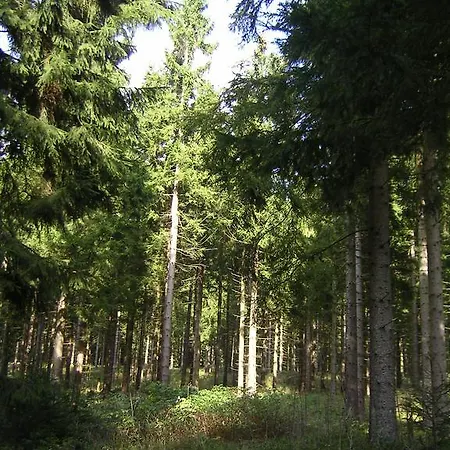 Im Harz-haus-bruns * Clausthal-Zellerfeld