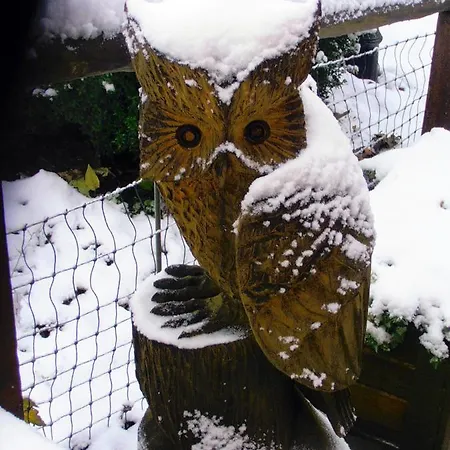 Im Harz-haus-bruns Lejlighed