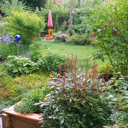 Im Harz-haus-bruns * Clausthal-Zellerfeld