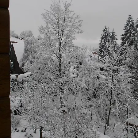Im Harz-haus-bruns 아파트 클라우슈탈젤러펠트