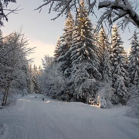 Lejlighed Im Harz-haus-bruns *