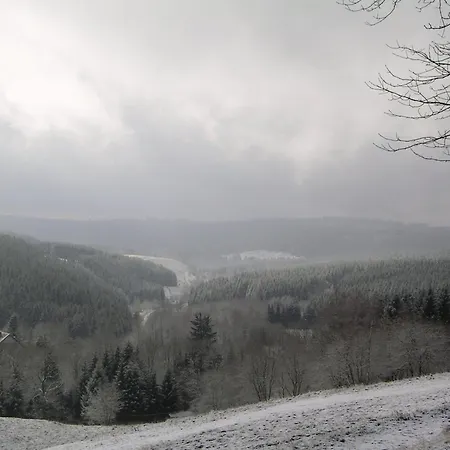 Im Harz-haus-bruns