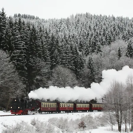 Daire Im Harz-haus-bruns *