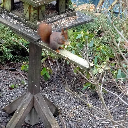 Im Harz-haus-bruns Lejlighed Clausthal-Zellerfeld