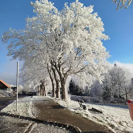 Daire Im Harz-haus-bruns Clausthal-Zellerfeld