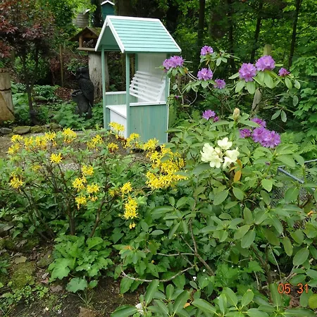 Lejlighed Im Harz-haus-bruns Clausthal-Zellerfeld