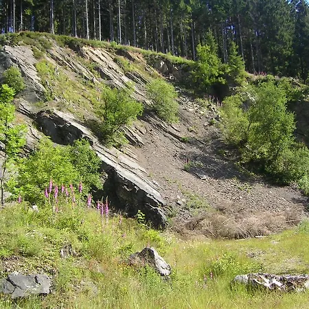 Lejlighed Im Harz-haus-bruns *