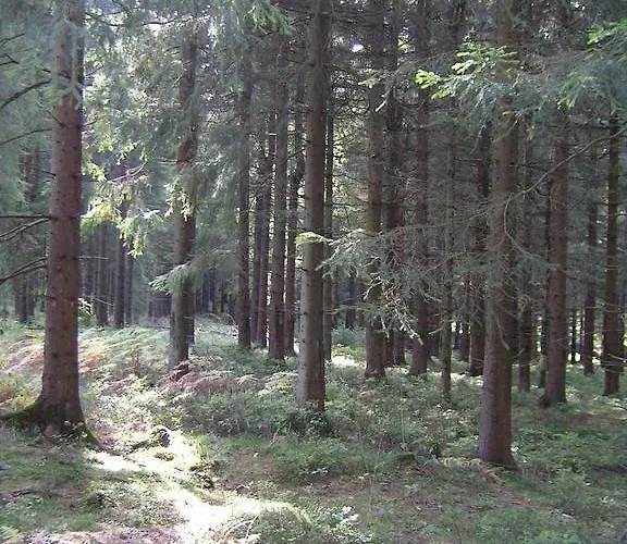 Apartman Im Harz-haus-bruns Clausthal-Zellerfeld