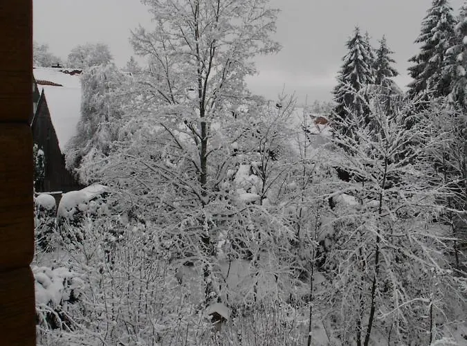 Im Harz-haus-bruns Apartman Clausthal-Zellerfeld