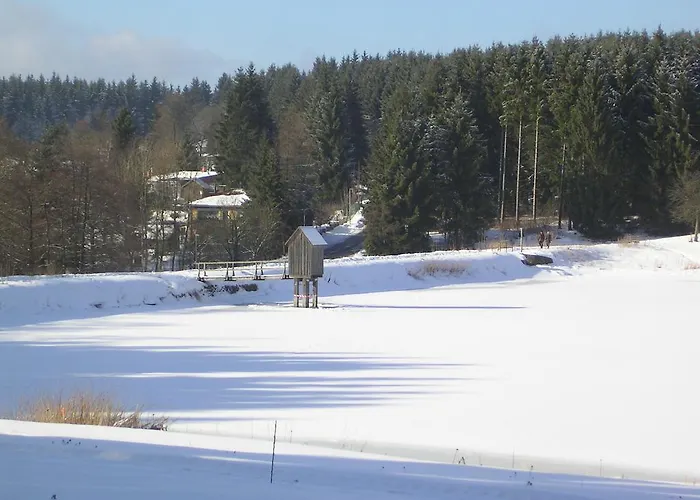 Apartman Im Harz-haus-bruns *