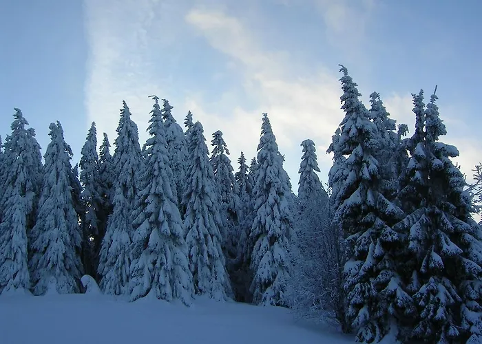 Im Harz-haus-bruns * Clausthal-Zellerfeld